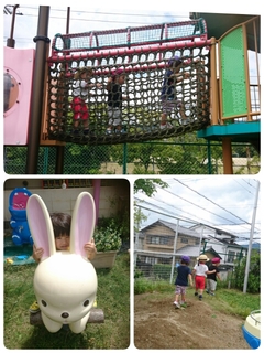 20190612144446541.jpg